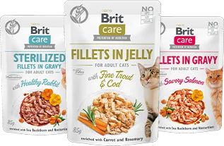 15_Brit Care_Nassfutter_Katze_HE100706
