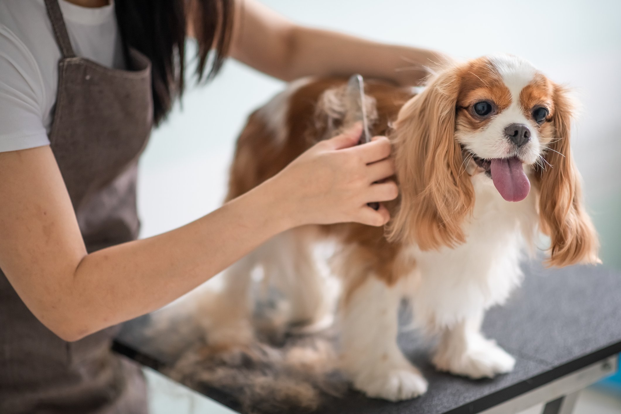 iStock-969077342_salon
