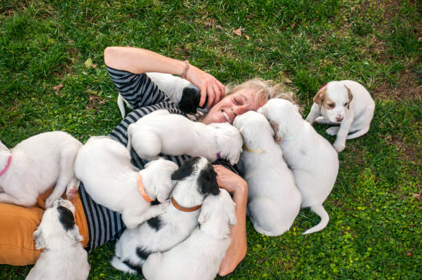 istockphoto-1141144359-612x612