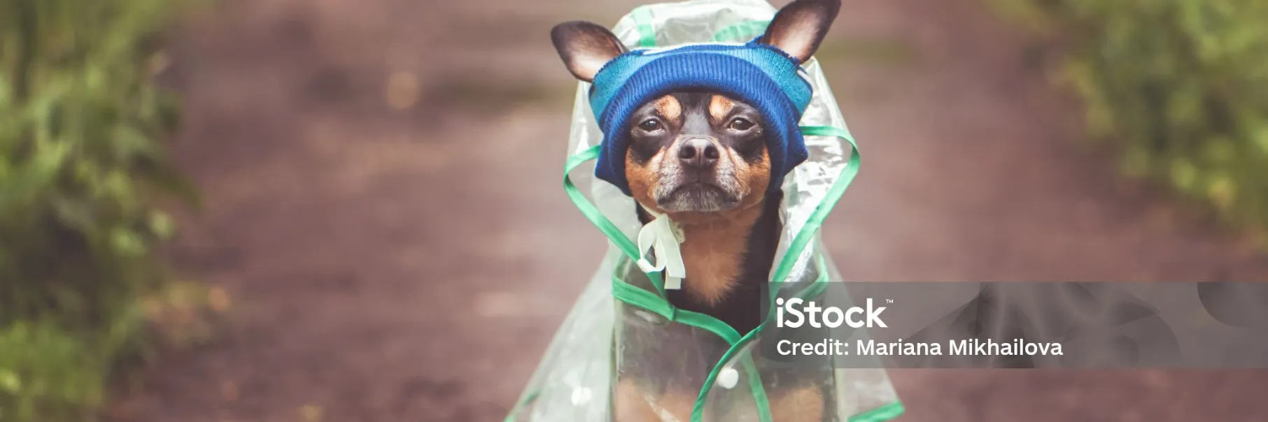 Visily-Export-to-Image-Image-2026-03-24 (1)