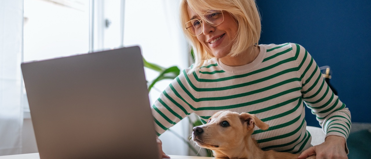 Hündchen, Laptop, Halterung, Haustier, Arbeitsplatz, laptop, frau, hund, gestreiftes-sweatshirt, home-office
