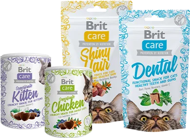 17_Brit Care_Snacks_Katze_HE111269