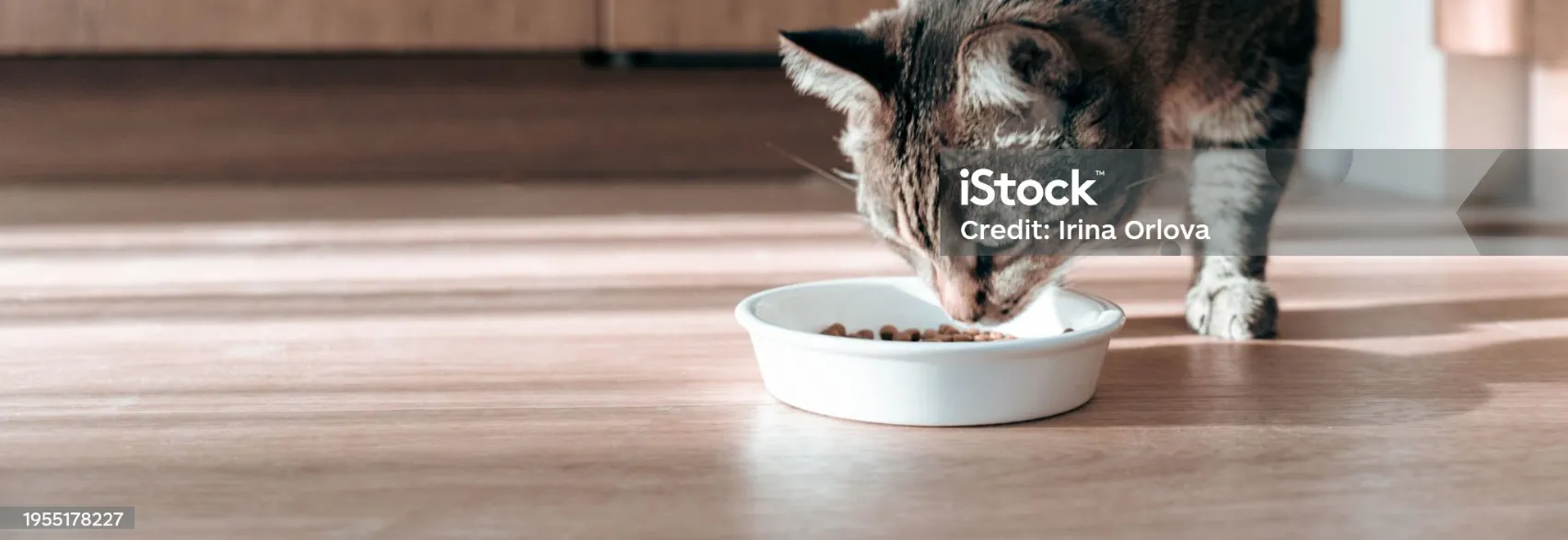 Visily-Export-to-Image-Image-2026-03-24