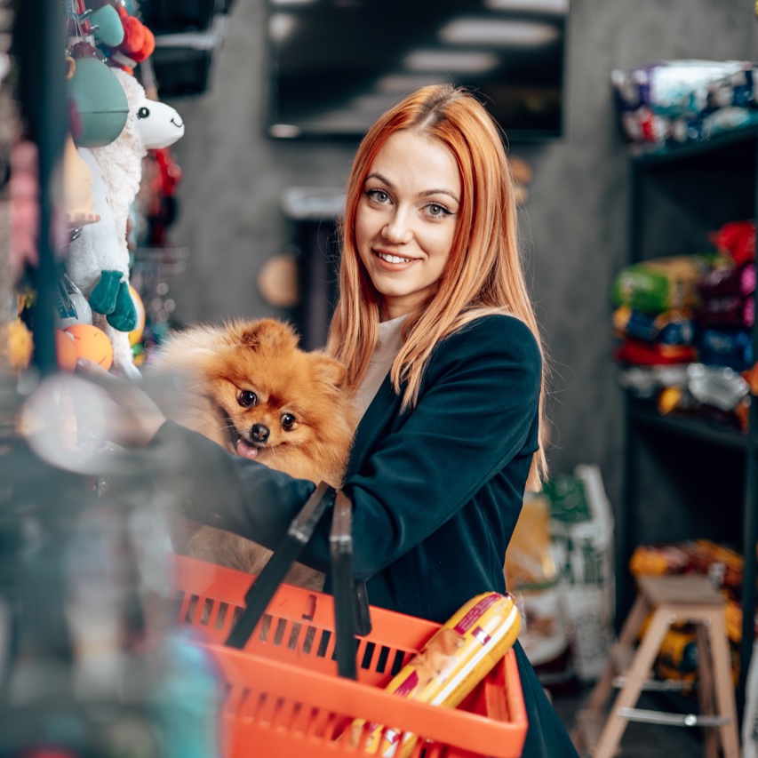 pet store, hund, pomeranian, einkauf, tüte