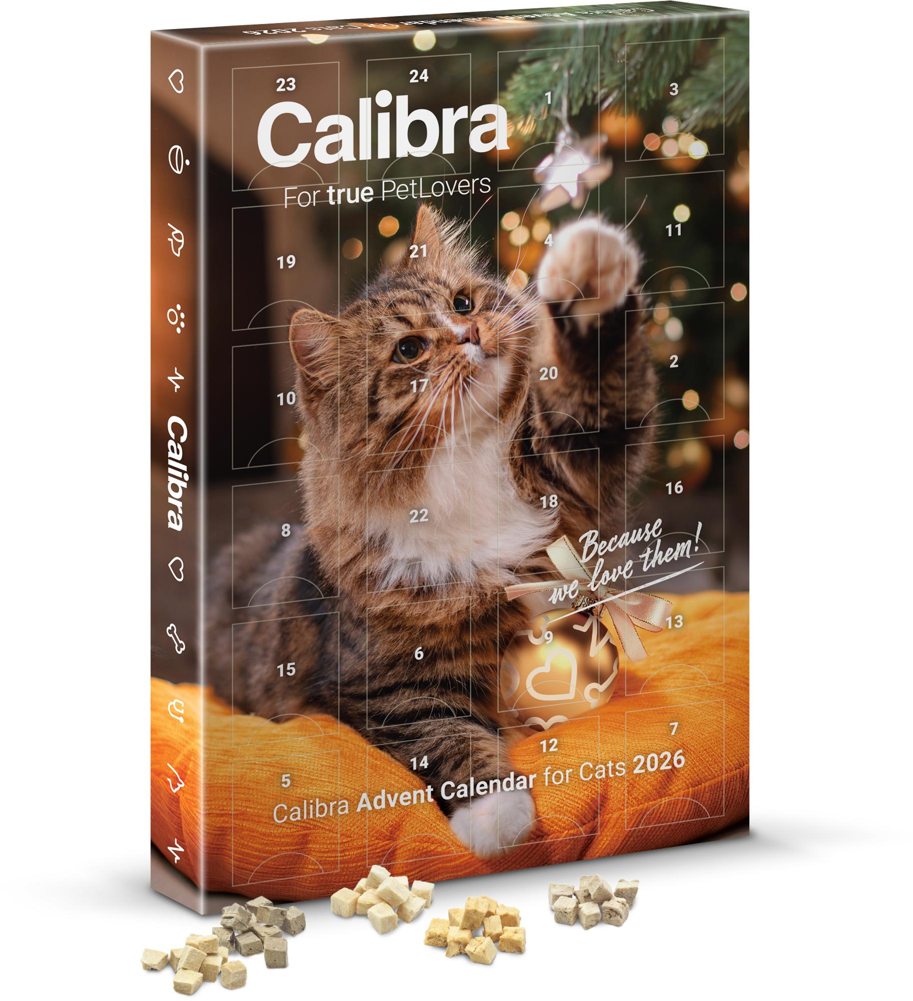 Calibra Adventskalender 2026 - Katze