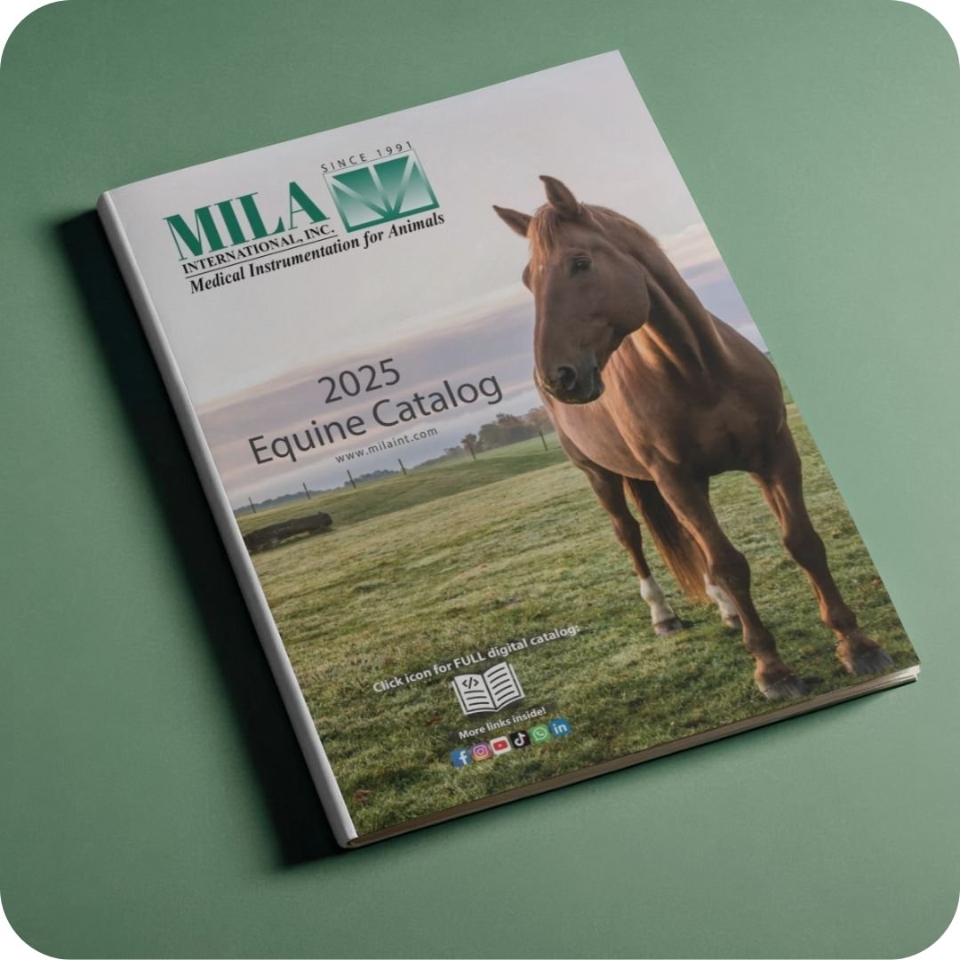 Pferd, Katalog, Hingst/Pferd, Deckblatt, Tier