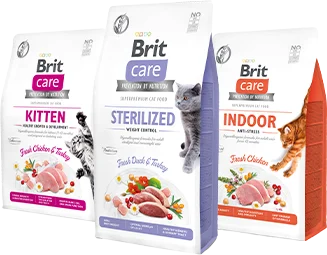 13_Brit Care_Trockenfutter_Katze_HE171293