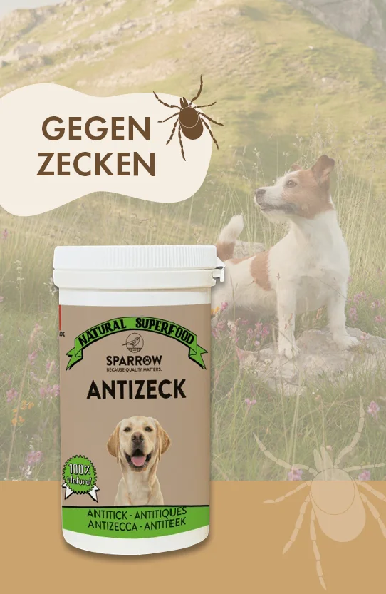 2498_Sparrow_Zecken_DE